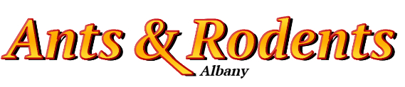 Albany Ant Exterminator & Rodent Control Company Logo
